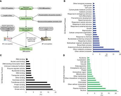 Unveiling orphan receptor-like kinases in plants: novel client discovery using high-confidence library predictions in the Kinase–Client (KiC) assay